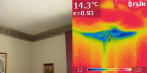 Thermal Imaging scan of ceiling leak